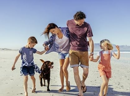 Animaux en vacances